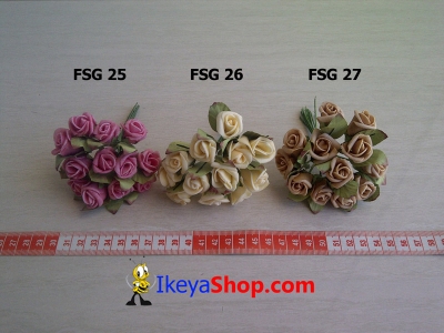 FSG 25 27  large2